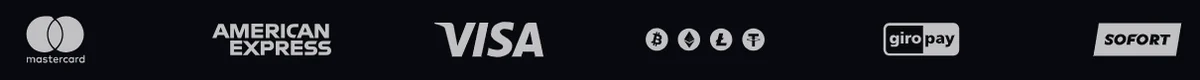 Wildzy — seo-text:payments